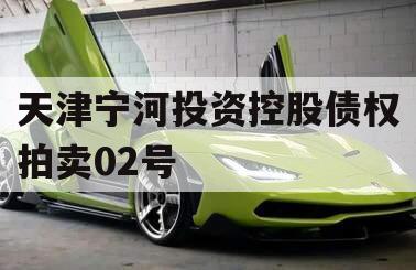 天津宁河投资控股债权拍卖02号