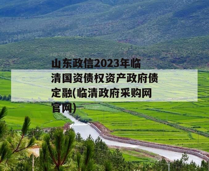 山东政信2023年临清国资债权资产政府债定融(临清政府采购网官网)