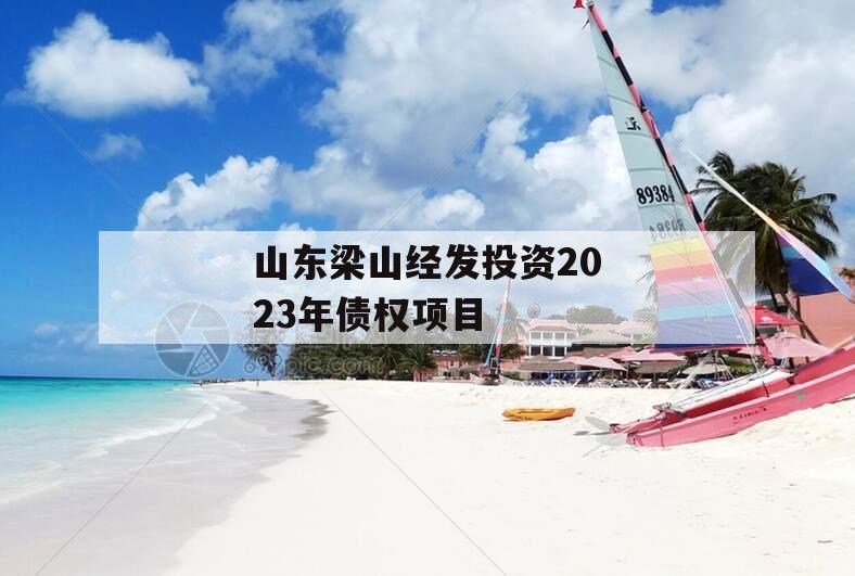 山东梁山经发投资2023年债权项目