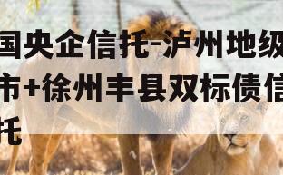 国央企信托-泸州地级市+徐州丰县双标债信托
