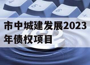 市中城建发展2023年债权项目