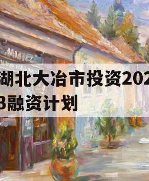 湖北大冶市投资2023融资计划