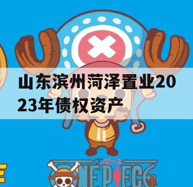 山东滨州菏泽置业2023年债权资产