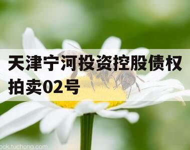 天津宁河投资控股债权拍卖02号