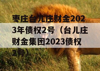 枣庄台儿庄财金2023年债权2号（台儿庄财金集团2023债权2号）