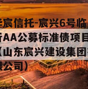 华宸信托-宸兴6号临沂AA公募标准债项目（山东宸兴建设集团有限公司）