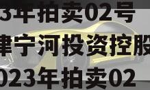 天津宁河投资控股债权2023年拍卖02号(天津宁河投资控股债权2023年拍卖02号公告)