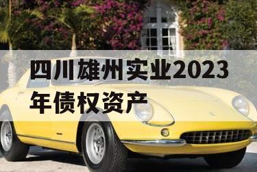 四川雄州实业2023年债权资产