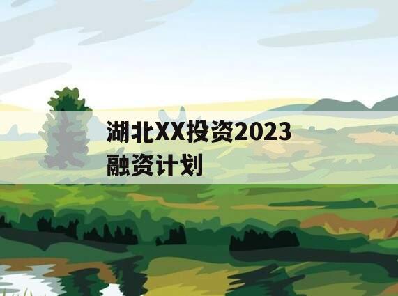 湖北XX投资2023融资计划