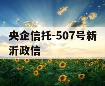 央企信托-507号新沂政信