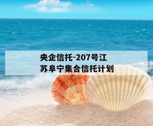 央企信托-207号江苏阜宁集合信托计划