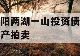 简阳两湖一山投资债权资产拍卖