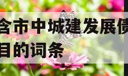 包含市中城建发展债权项目的词条