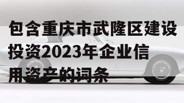 包含重庆市武隆区建设投资2023年企业信用资产的词条