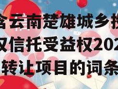 包含云南楚雄城乡投财产权信托受益权2023年转让项目的词条