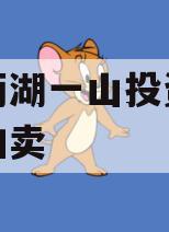 简阳两湖一山投资债权资产拍卖