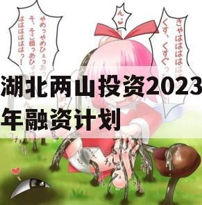 湖北两山投资2023年融资计划