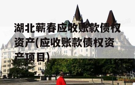 湖北蕲春应收账款债权资产(应收账款债权资产项目)