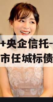 国企+央企信托-地级济宁市任城标债政信
