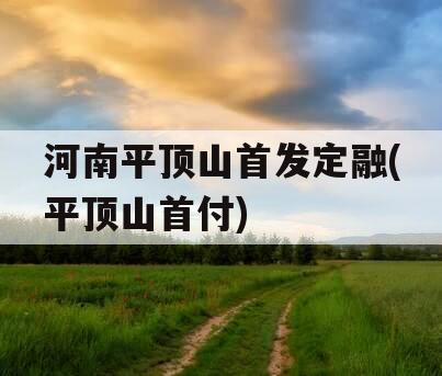 河南平顶山首发定融(平顶山首付)