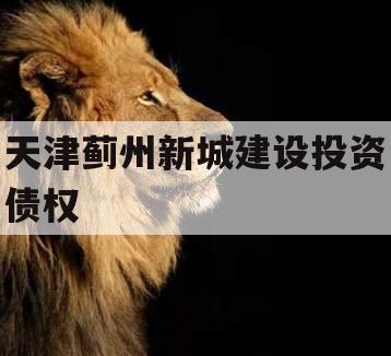 天津蓟州新城建设投资债权