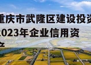 重庆市武隆区建设投资2023年企业信用资产