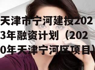 天津市宁河建投2023年融资计划（2020年天津宁河区项目）