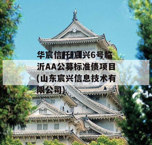 华宸信托-宸兴6号临沂AA公募标准债项目(山东宸兴信息技术有限公司)