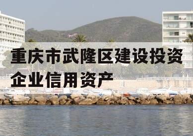 重庆市武隆区建设投资企业信用资产