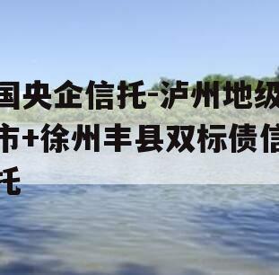国央企信托-泸州地级市+徐州丰县双标债信托