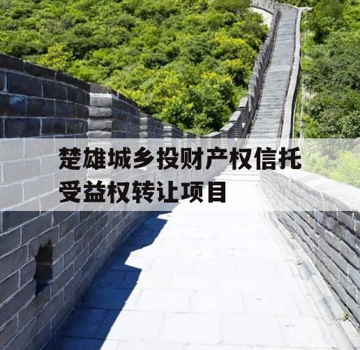 楚雄城乡投财产权信托受益权转让项目