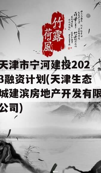 天津市宁河建投2023融资计划(天津生态城建滨房地产开发有限公司)