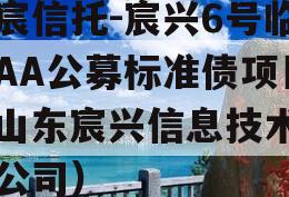 华宸信托-宸兴6号临沂AA公募标准债项目（山东宸兴信息技术有限公司）