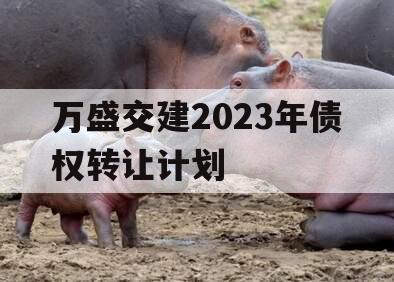 万盛交建2023年债权转让计划
