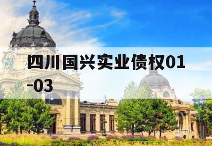 四川国兴实业债权01-03