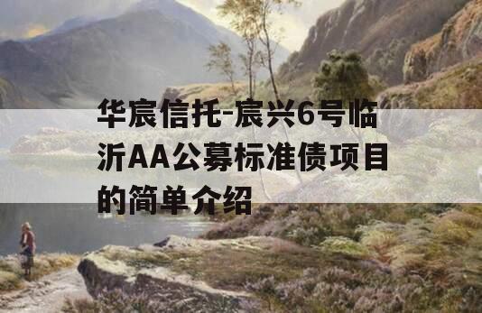 华宸信托-宸兴6号临沂AA公募标准债项目的简单介绍