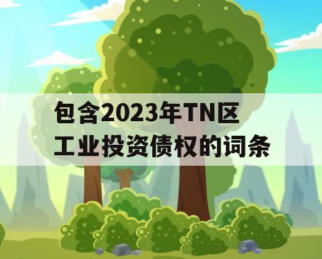 包含2023年TN区工业投资债权的词条