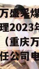 重庆市万盛采煤沉陷区综合治理2023年债权资产（重庆万盛煤化有限责任公司电话）