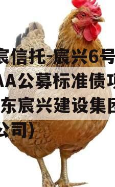 华宸信托-宸兴6号临沂AA公募标准债项目(山东宸兴建设集团有限公司)