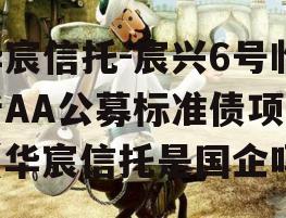 华宸信托-宸兴6号临沂AA公募标准债项目（华宸信托是国企吗）