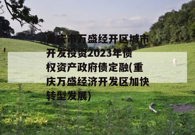 重庆市万盛经开区城市开发投资2023年债权资产政府债定融(重庆万盛经济开发区加快转型发展)