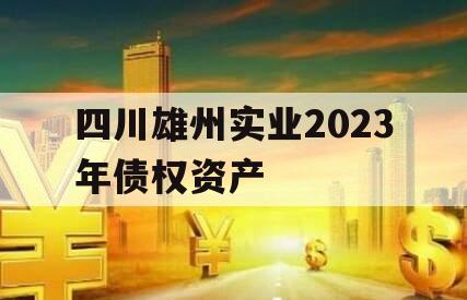四川雄州实业2023年债权资产