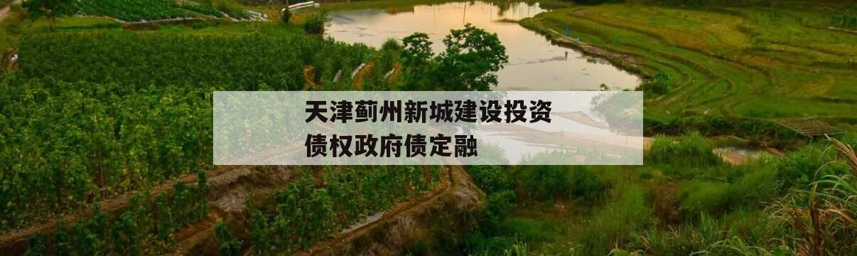天津蓟州新城建设投资债权政府债定融