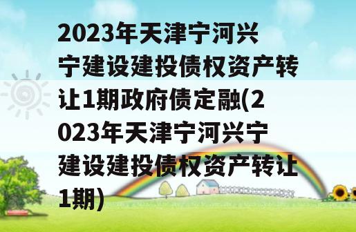 2023年天津宁河兴宁建设建投债权资产转让1期政府债定融(2023年天津宁河兴宁建设建投债权资产转让1期)
