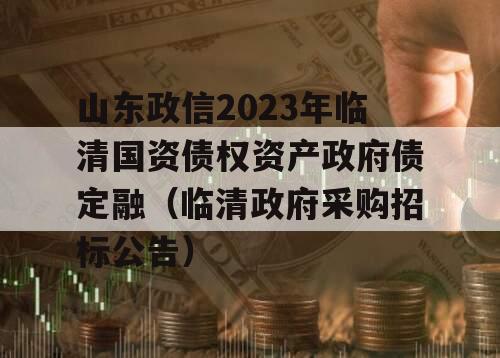 山东政信2023年临清国资债权资产政府债定融（临清政府采购招标公告）
