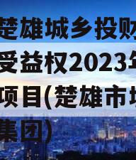 云南楚雄城乡投财产权信托受益权2023年转让项目(楚雄市城乡投资集团)