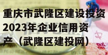 重庆市武隆区建设投资2023年企业信用资产（武隆区建投网）