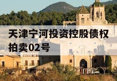 天津宁河投资控股债权拍卖02号