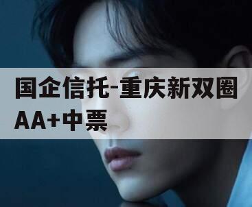 国企信托-重庆新双圈AA+中票