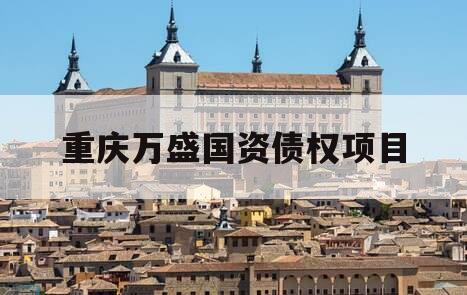 重庆万盛国资债权项目
